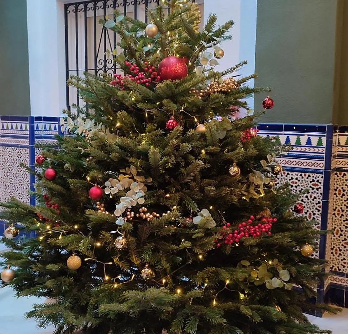 Apartamento Navitour Santa Ana Granada España